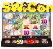 Aviator Game S9 Bet